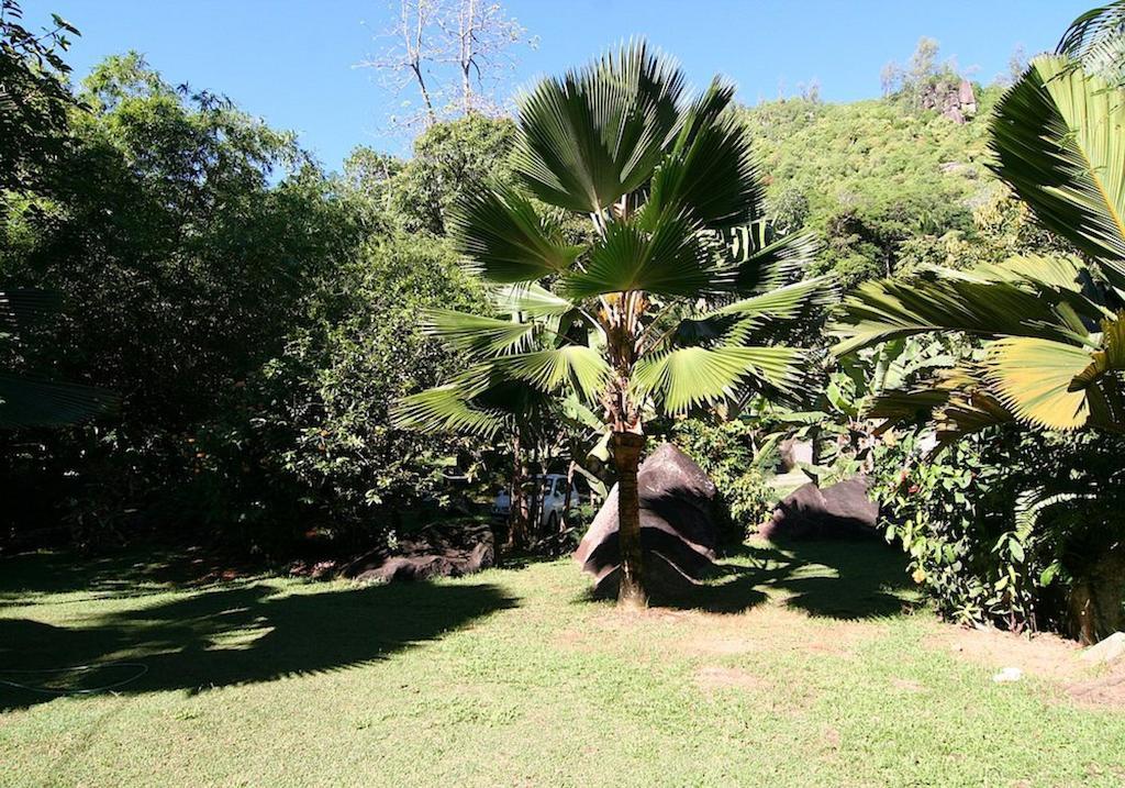 La Rocaille Villa Baie Lazare  Bagian luar foto